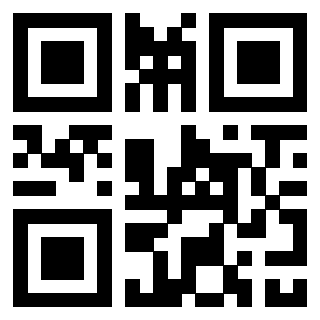 3306691231 - Immagine del QrCode
