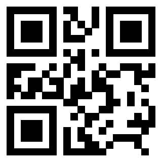 Il Qr Code di 3306691234