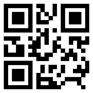 3306693993 - Immagine del QrCode