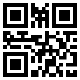 3306694013 - Immagine del Qr Code associato