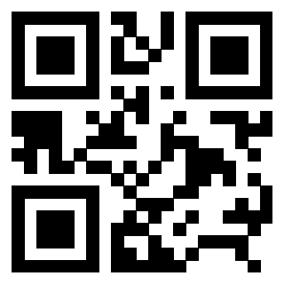3306694384 - Immagine del QrCode