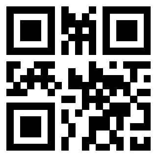 3306704233 - Immagine del QrCode