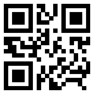 Il Qr Code di 3306704999