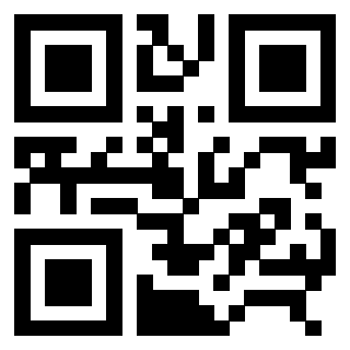 3306724041 - Immagine del QrCode