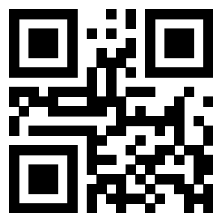 QrCode di 3306724495