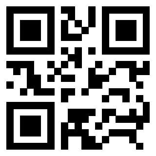 QrCode di 3306733083