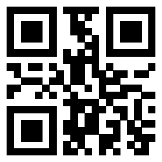 3306800599 - Immagine del QrCode associato