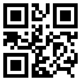 3306801256 - Immagine del QrCode