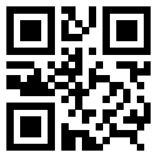 3306801333 QrCode associato