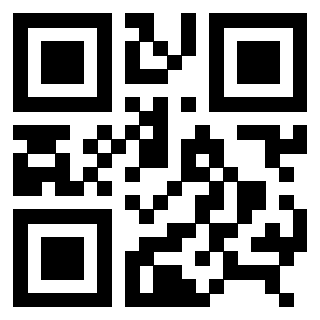 3306812509 - Immagine del QrCode