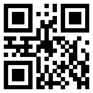 3306813029 QrCode associato