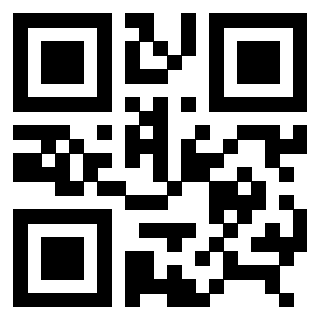 QrCode di 3306813096