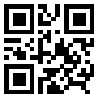 3306813101 Qr Code associato