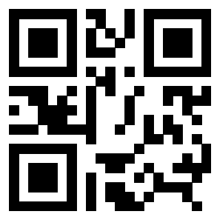 3306897920 - Immagine del QrCode