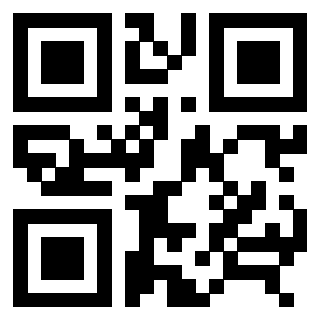 3306928113 QrCode associato