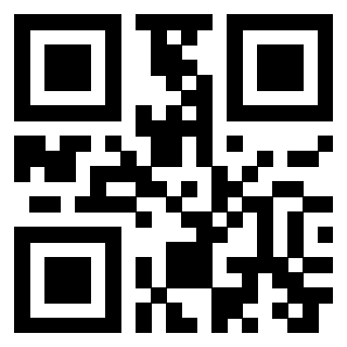QrCode di 3306928259