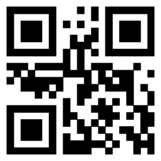 3306933613 - Immagine del QrCode