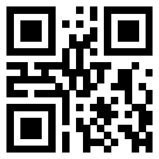 QrCode di 3306933963