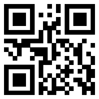 Il Qr Code di 3306934029