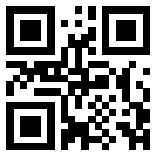 3306934100 - Immagine del QrCode