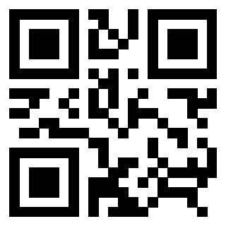 3306938336 - Immagine del QrCode