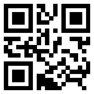 QrCode di 3306938424