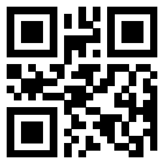 QrCode di 3306938541
