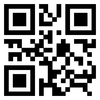 3306938581 - Immagine del QrCode