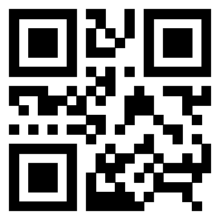 3306938594 - Immagine del QrCode associato