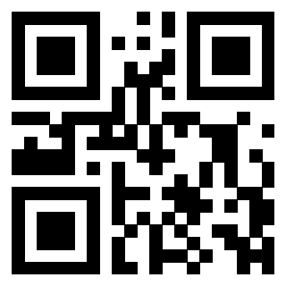QrCode di 3306938653