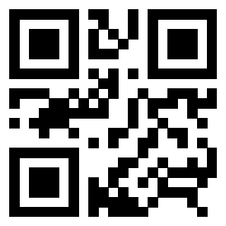 Il Qr Code di 3306938788
