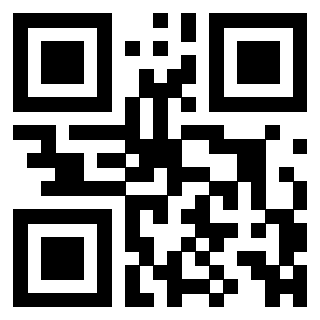 QrCode di 3306938887