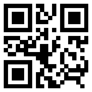 QrCode di 3306938966