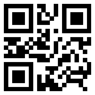 Il Qr Code di 3306939038