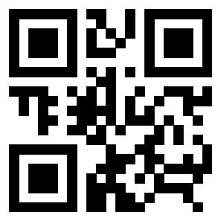 Il Qr Code di 3306939045