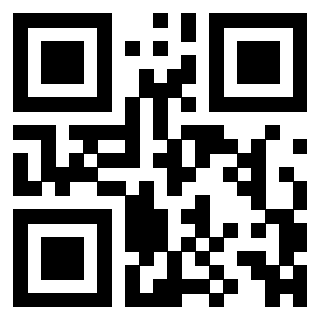 QrCode di 3306939216