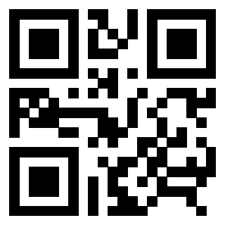 Il Qr Code di 3306952029