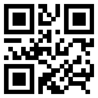 Il Qr Code di 3306955041