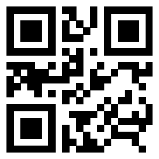3306955081 - Immagine del QrCode associato