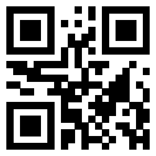 3306955393 - Immagine del QrCode