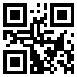 3306955493 - Immagine del QrCode