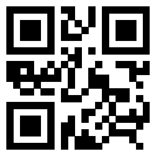 3306959360 Qr Code associato