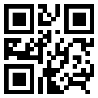 3306960058 - Immagine del QrCode associato