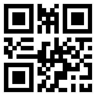 3307133125 QrCode associato
