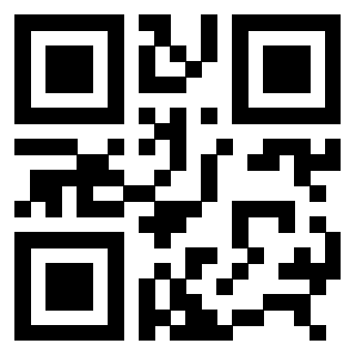 3307133656 Qr Code associato