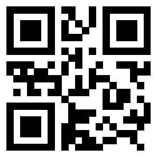 QrCode di 3307387346