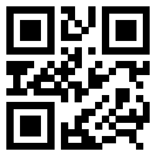 3307411080 Qr Code associato