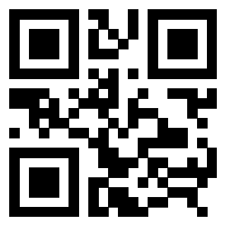 3307447339 - Immagine del QrCode