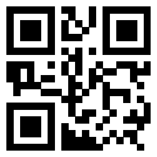 3307933256 QrCode associato