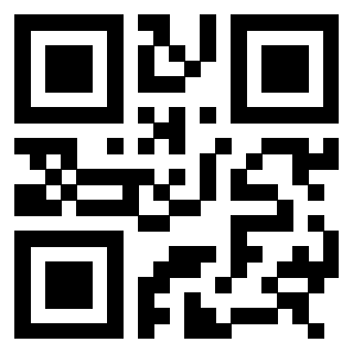 3308041067 - Immagine del QrCode